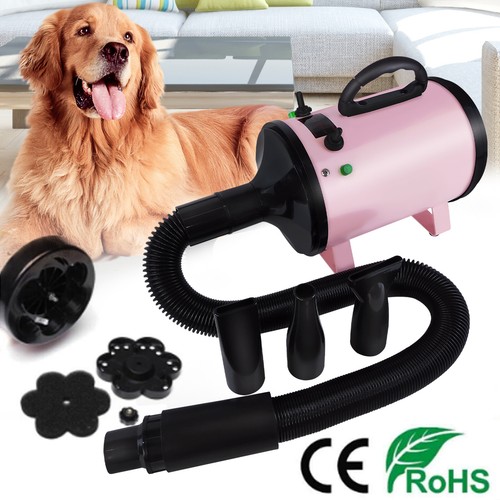 Dog hair dryer high velocity - dog,