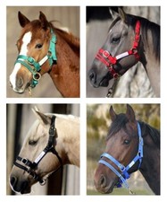 All Sizes Monty Roberts Dually Halter and Monty Roberts Lead/Long Lines/Bits