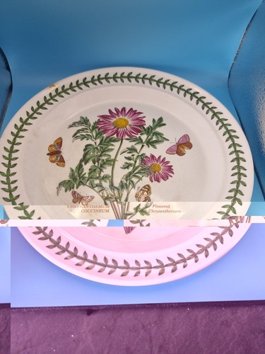 Portmeirion botanic garden - portmeirion,