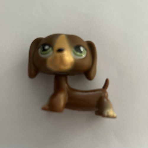 Lps littlest pet shop - pet,