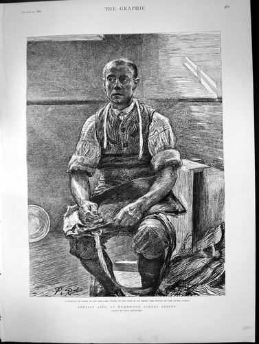 Antique old print - old, convict