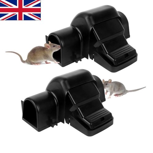 Rat traps that kill - rat,