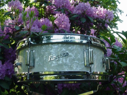 5x14 1967 rogers - 5x14:,
