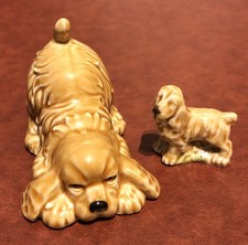 Wade Cocker Spaniel and