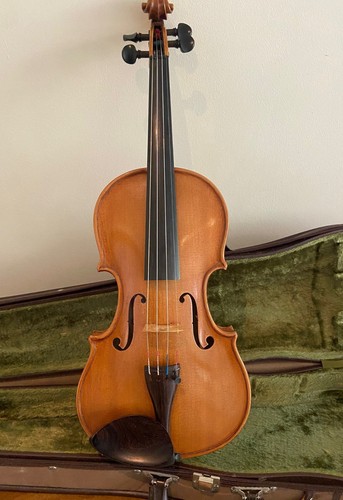 Master italian violin - master,