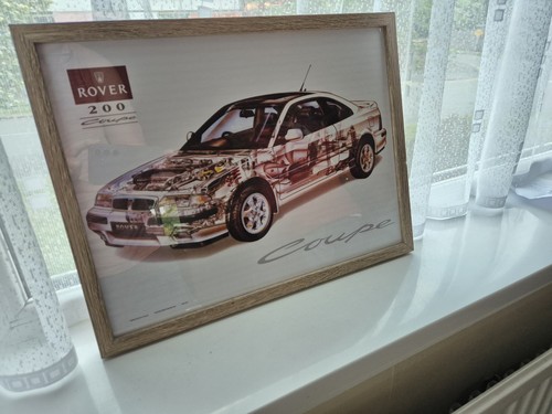 Rover tomcat coupe - rover,