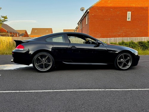 Genuine schnitzer type iv - genuine,