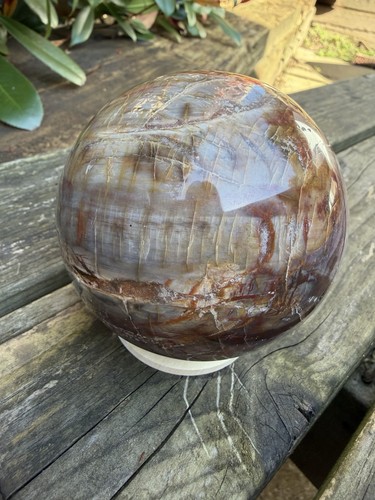 Petrified wood sphere - wood, over