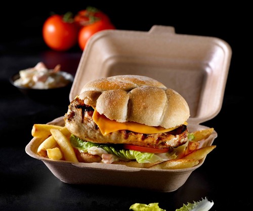 Hp2 brown takeaway food burger - hp2,