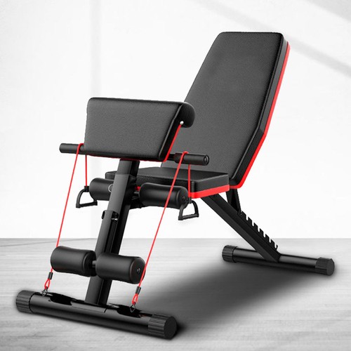 Sit dumbbell workout weight - sit-up,