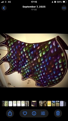 Dragon wings buraq equestrian - dragon,