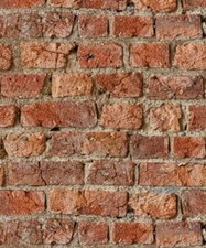 Arthouse Urban Brick Red