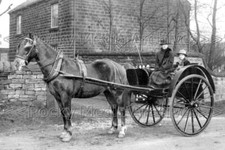 Zki-33 Horse And Trap