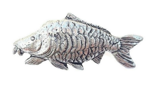 Mirror carp fish finely - carp,