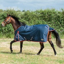 Gallop Trojan / Ponie Duraproof 200g Horse Turnout Rug Std Neck Mediumweight Rug