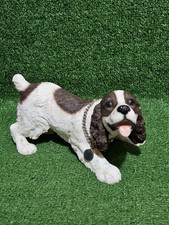 Cocker Spaniel Leonardo