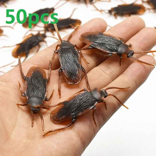 Fake plastic cockroaches joke - plastic,