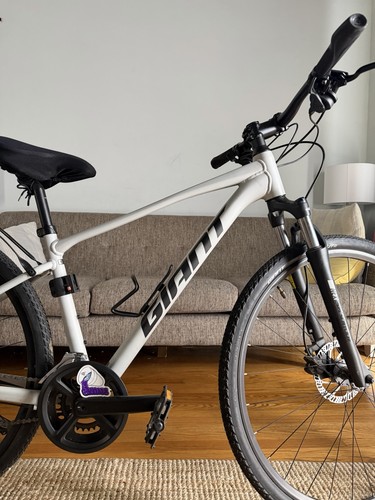 Giant roam disc concrete - giant,