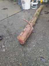 Yew Stave (Boddiker) 6 Ft