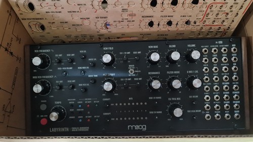 Moog labryinth