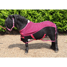 Ruggles Shetland-Miniature-Donkey Mesh Cooler Rug