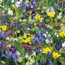 Mixed Bag Of 100 Different