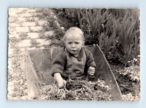 Old vintage photo - old,