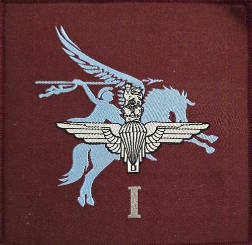 1st battalion the parachute - battalion,