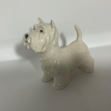 West Highland Terrier