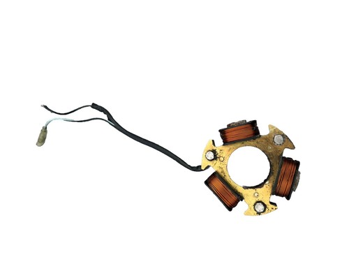 Stator coil for 40hp selva - ac,