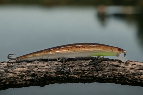 Pencil minnow jerkbait - pencil,