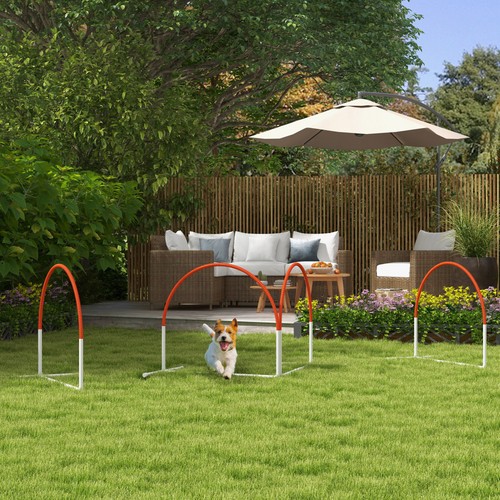 Dog agility equipment set with - equipment,
