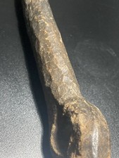 Antique bulls pizzle school