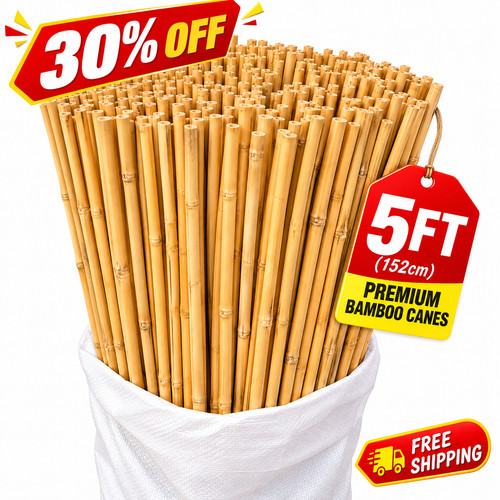 5ft bamboo canes thick garden - thick,