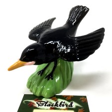 Wade Blackbird With Worm