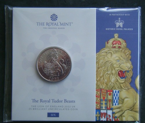 2022 lion england - england, tudor