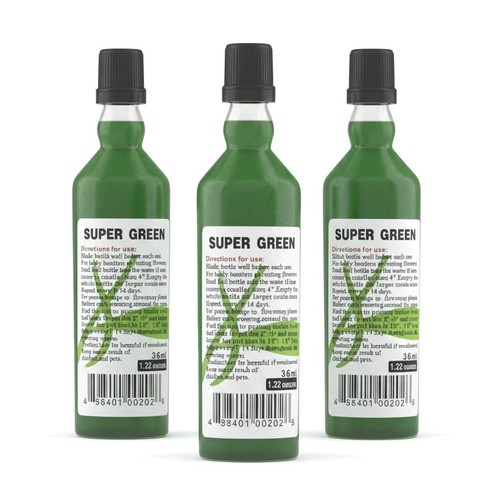 Super green lucky bamboo - super,
