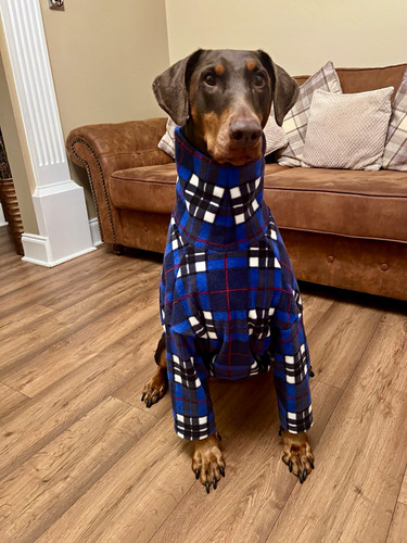 Handmade fleece tartan dog - fleece,