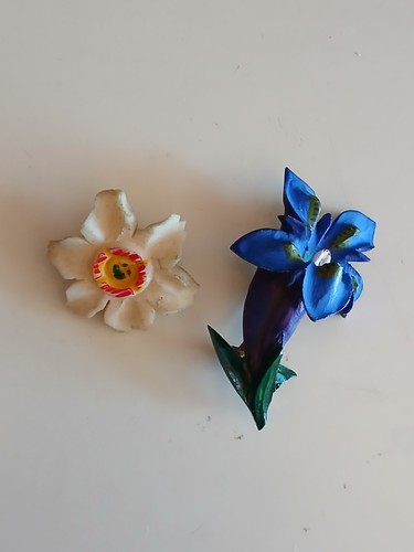 Vintage daffodil iris - 2, +