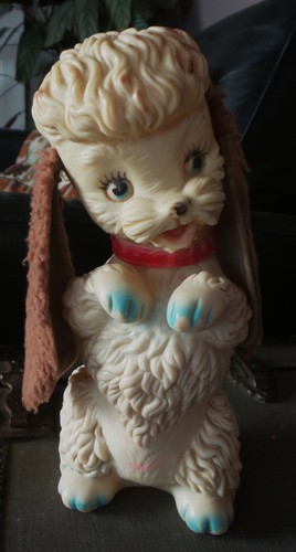 Edward mobley begging poodle - begging,