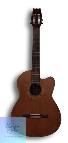 Vantage acoustic guitar - acoustic,