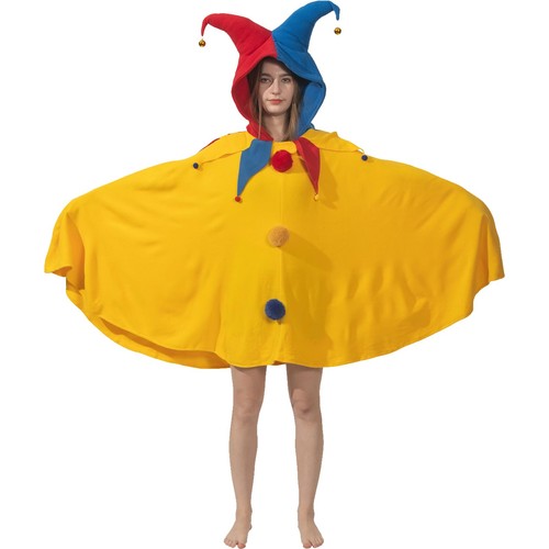 Renaissance jester costume - renaissance,