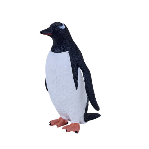 Gentoo penguin wild - gentoo,
