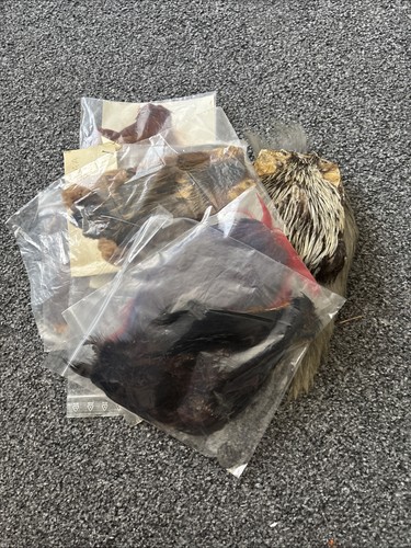 Fly tying capes - fly,