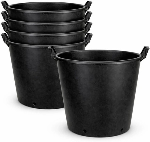 Set large 50l - set, plant