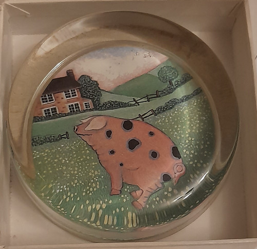 Spotted pig farm - spotted,