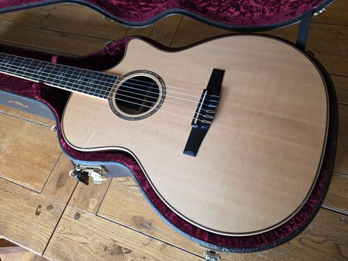 Taylor 814ce-N
