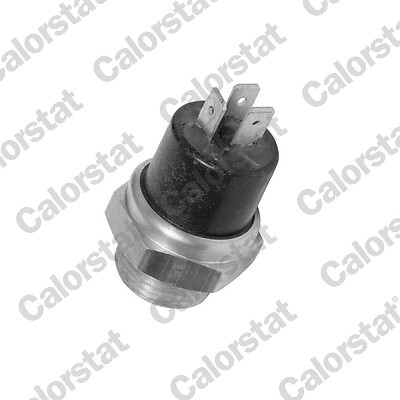 Temperature switch radiator - switch,,