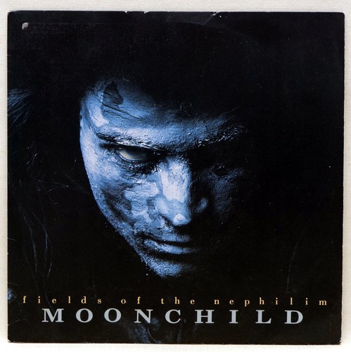 Fields the nephilim - the,