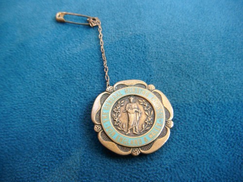Vintage badge general nursing - badge,